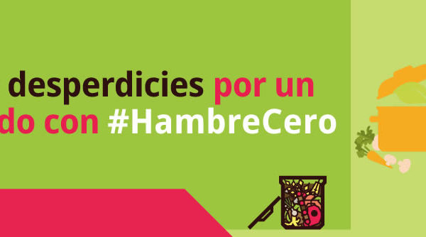 Lo que usted puede hacer para lograr el #HambreCero