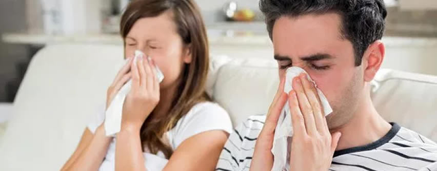 La ciencia crea cercos para la gripe