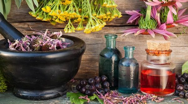 Farmacia defiende el uso de plantas medicinales