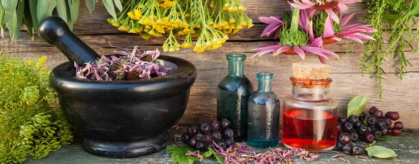 Farmacia defiende el uso de plantas medicinales