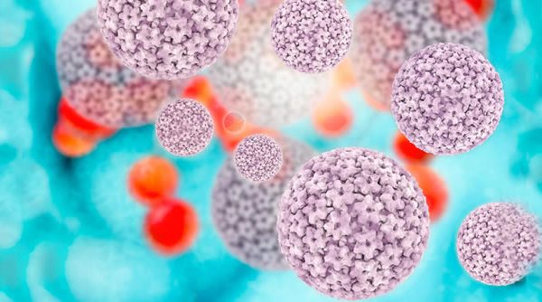 10 Preguntas sobre el Virus del Papiloma Humano