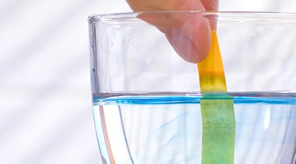 El rol del agua alcalina en el envejecimiento