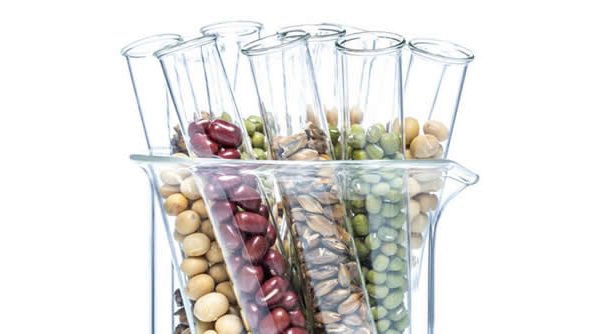 La química nociva de los alimentos